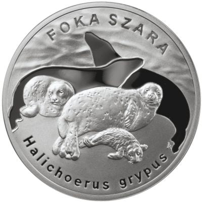 Foka szara (20zł)
